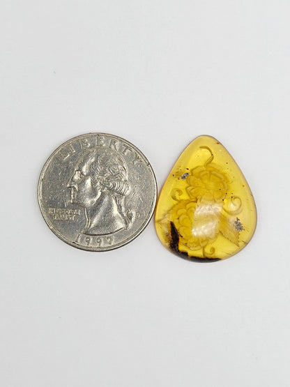 Amber Intaglio Cabochon | Hand-Carved Natural Amber