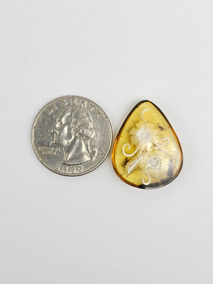 Amber Intaglio Cabochon | Hand-Carved Natural Amber