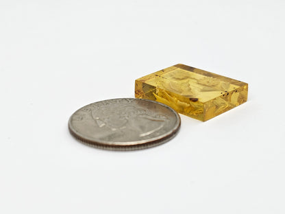Amber Intaglio Cabochon | Hand-Carved Natural Amber