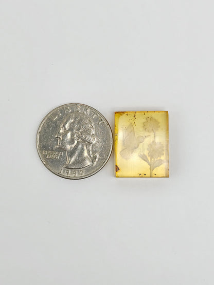 Amber Intaglio Cabochon | Hand-Carved Natural Amber