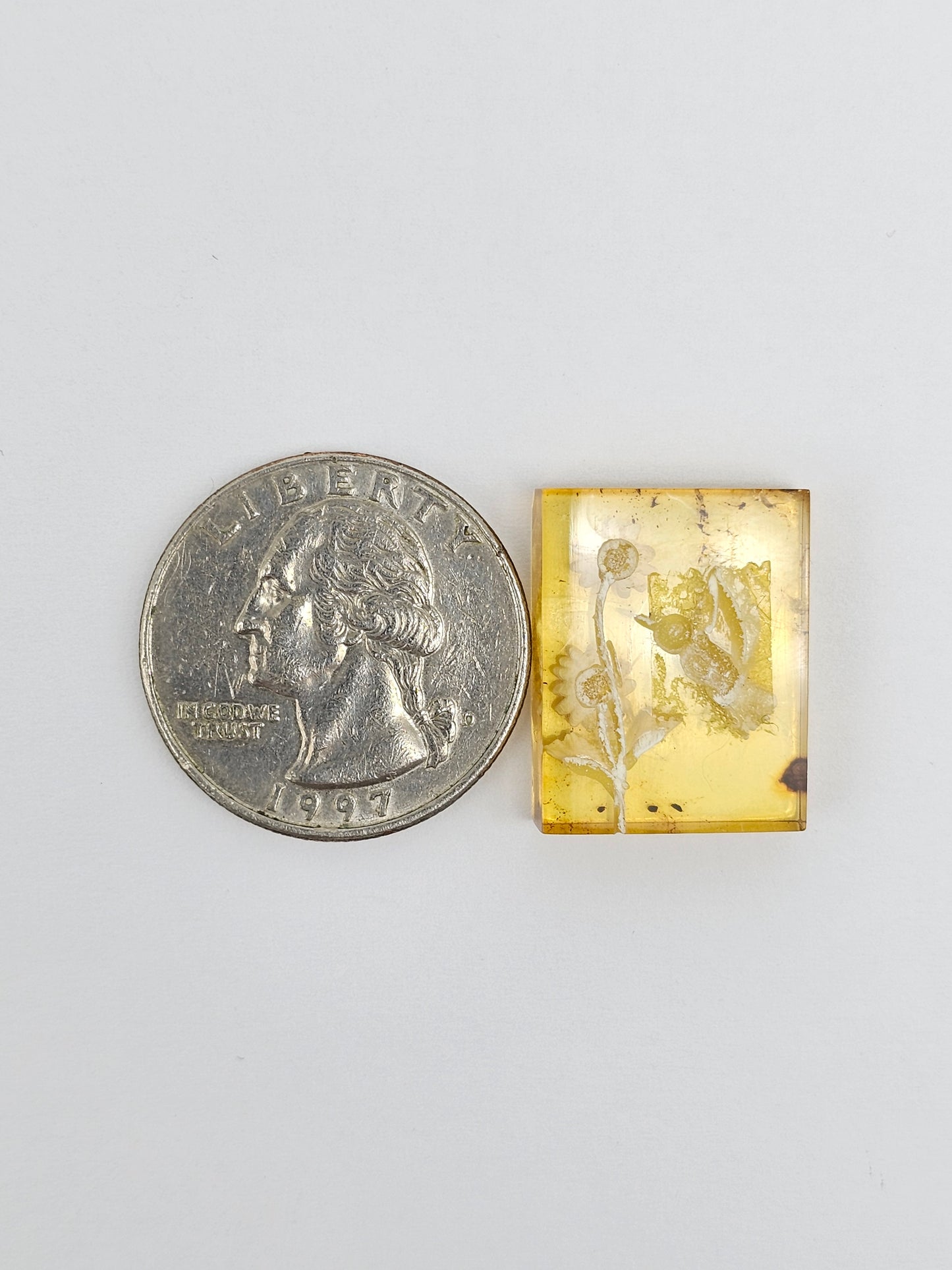 Amber Intaglio Cabochon | Hand-Carved Natural Amber