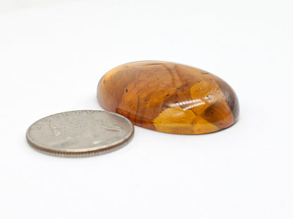 Amber Intaglio Cabochon | Hand-Carved Natural Amber