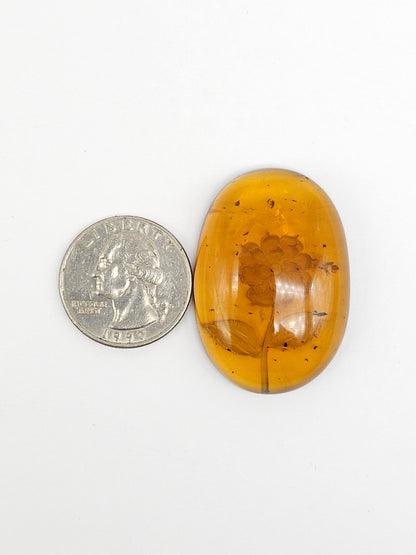 Amber Intaglio Cabochon | Hand-Carved Natural Amber