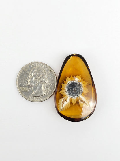 Amber Intaglio Cabochon | Hand-Carved Natural Amber
