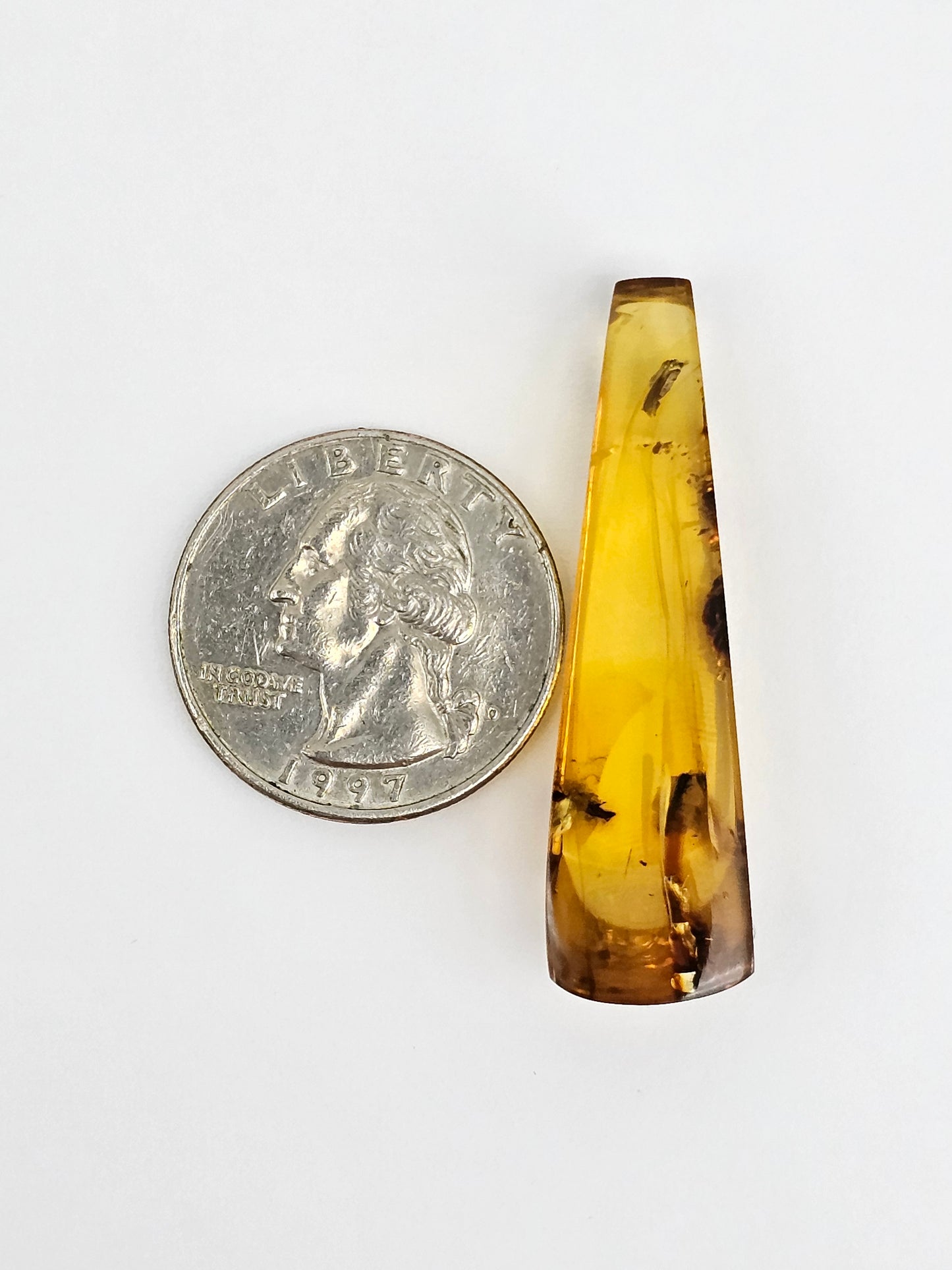 Real amber with insect inclusion