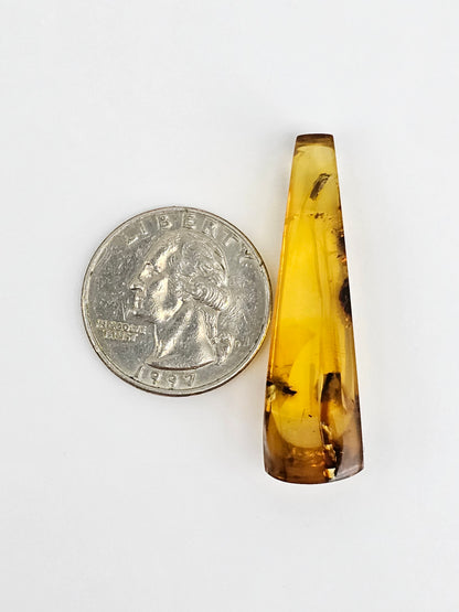 Real amber with insect inclusion
