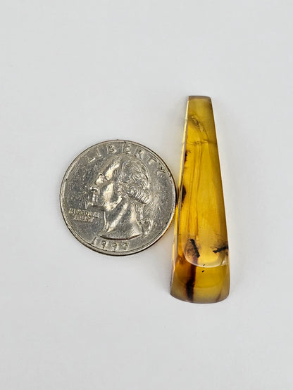 Real amber with insect inclusion