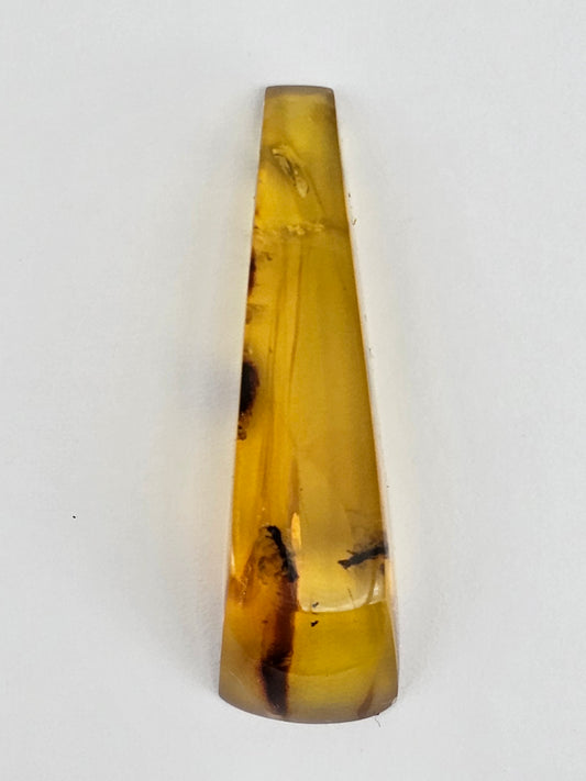 Real amber with insect inclusion