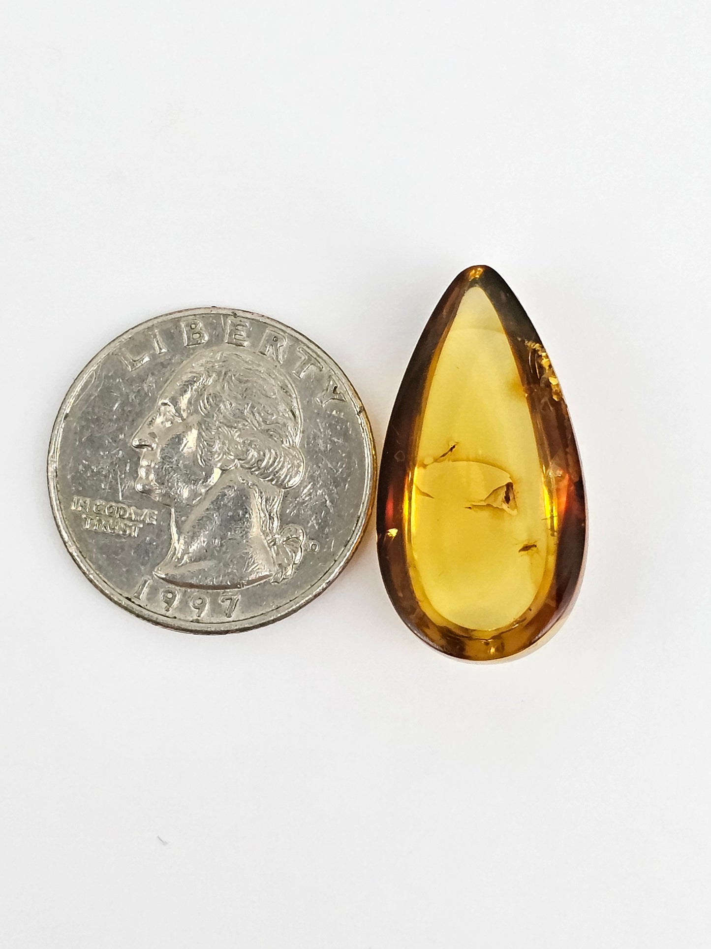 Real amber with insect inclusion