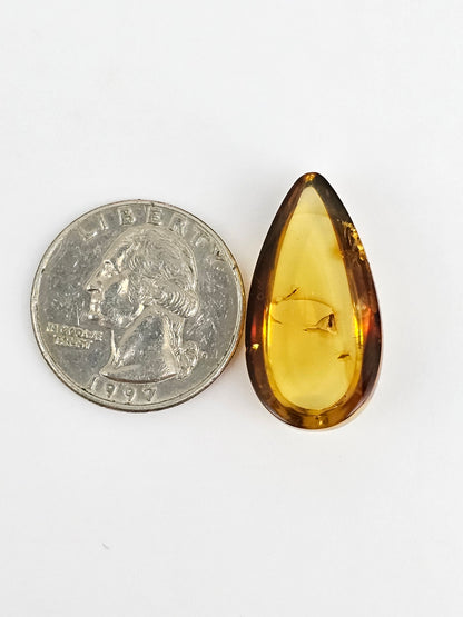 Real amber with insect inclusion