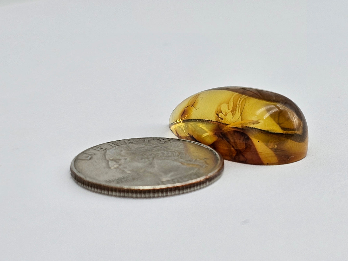 Real amber with insect inclusion