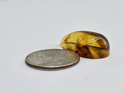 Real amber with insect inclusion