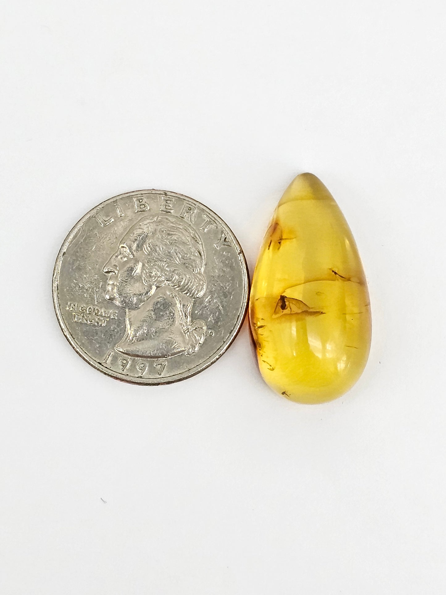 Real amber with insect inclusion