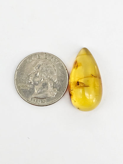 Real amber with insect inclusion