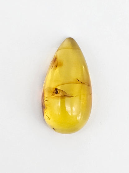 Real amber with insect inclusion