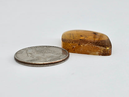 Real amber with insect inclusion