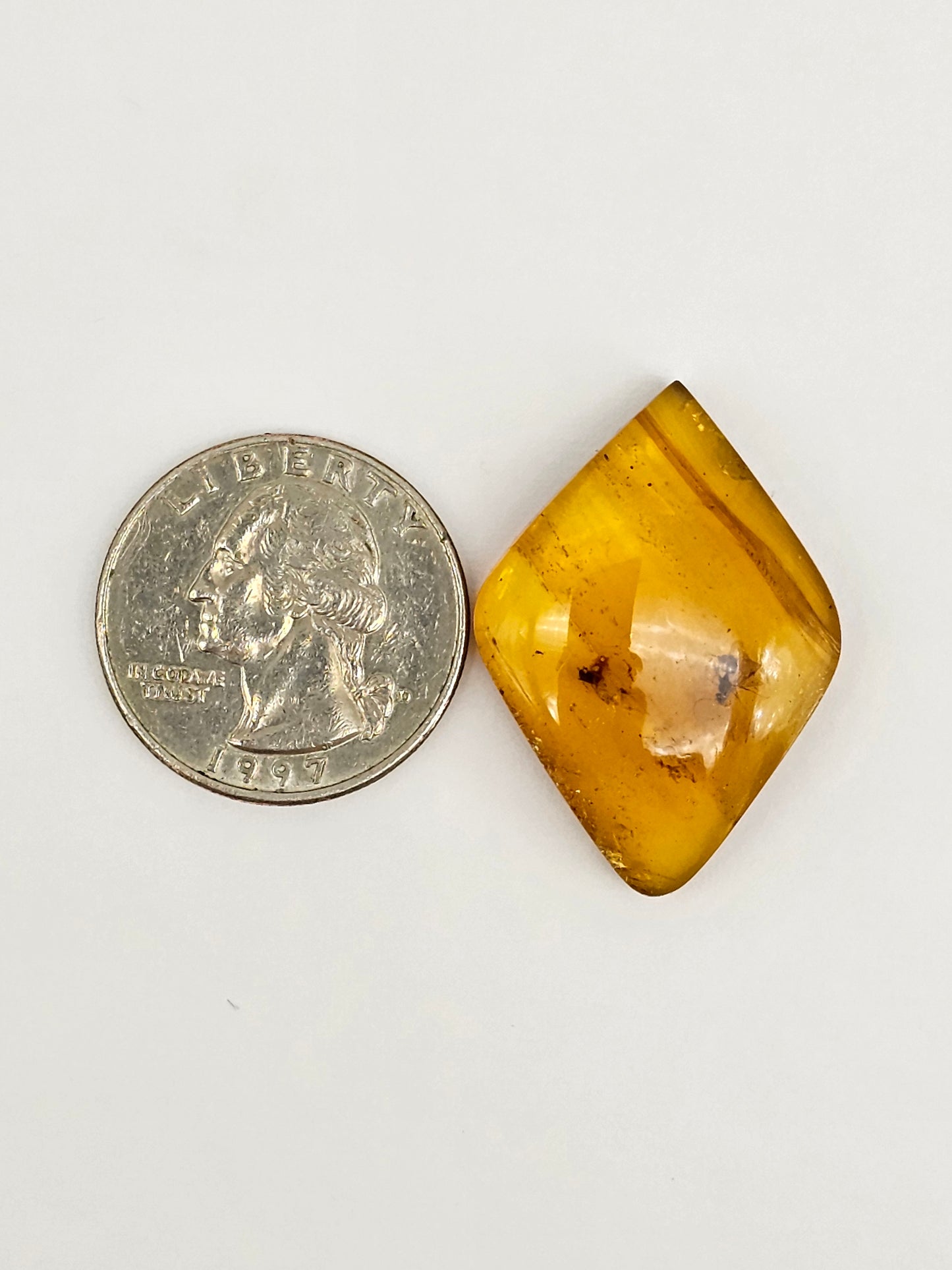 Real amber with insect inclusion