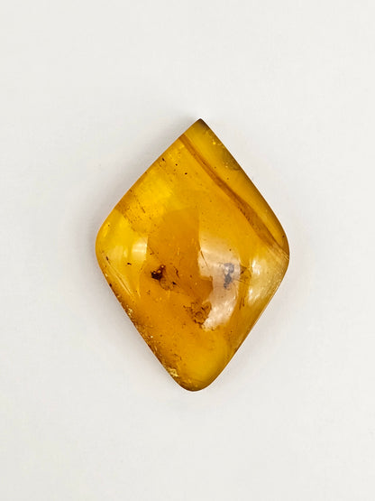 Real amber with insect inclusion