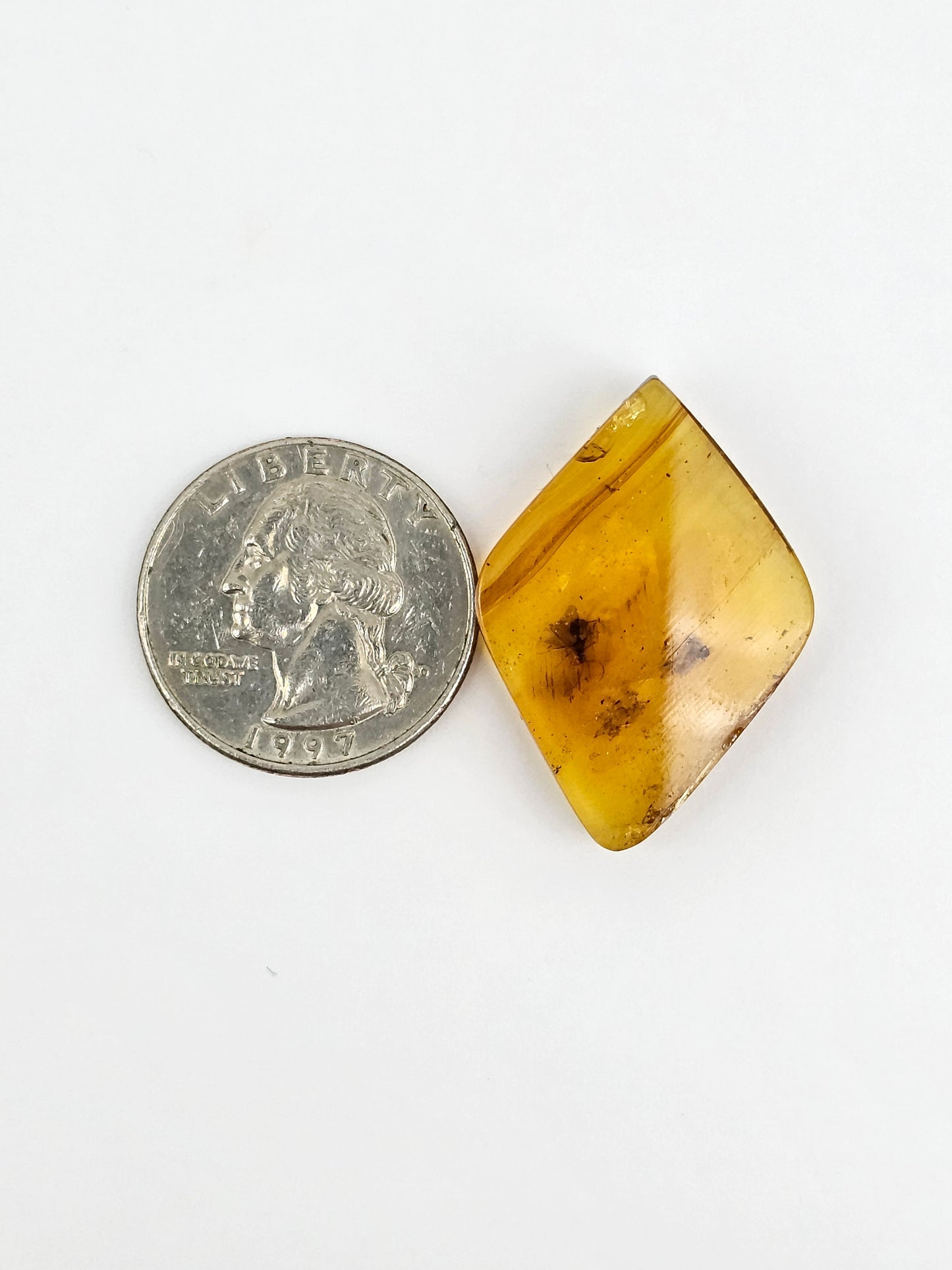 Real amber with insect inclusion