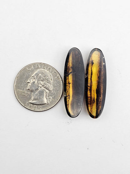 Amber authentic cabochon pair large