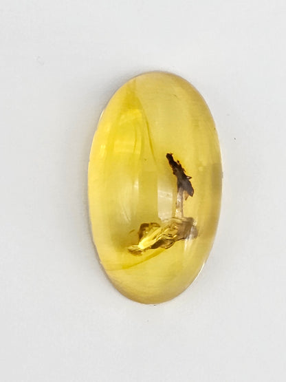 Real amber with insect inclusion