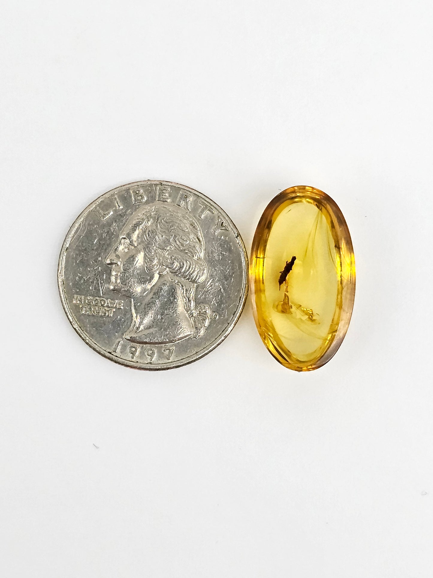 Real amber with insect inclusion