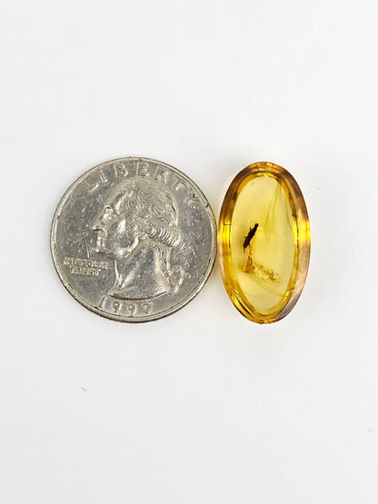 Real amber with insect inclusion