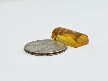 Real amber with insect inclusion