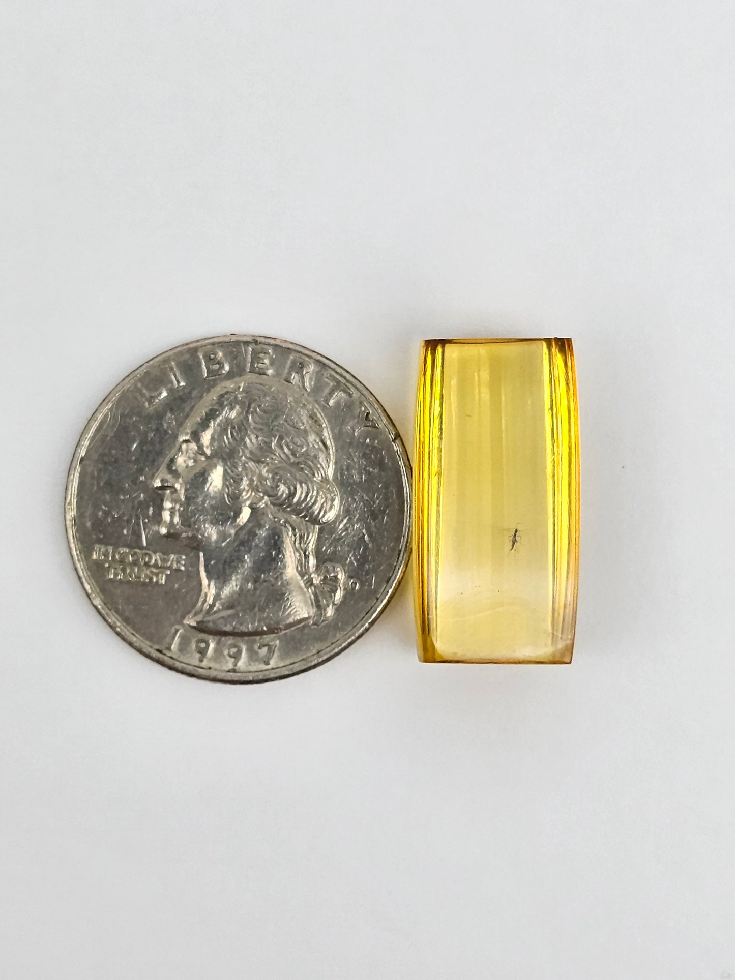 Real amber with insect inclusion