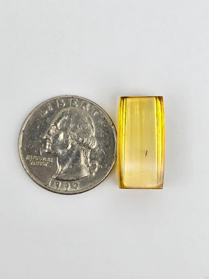 Real amber with insect inclusion
