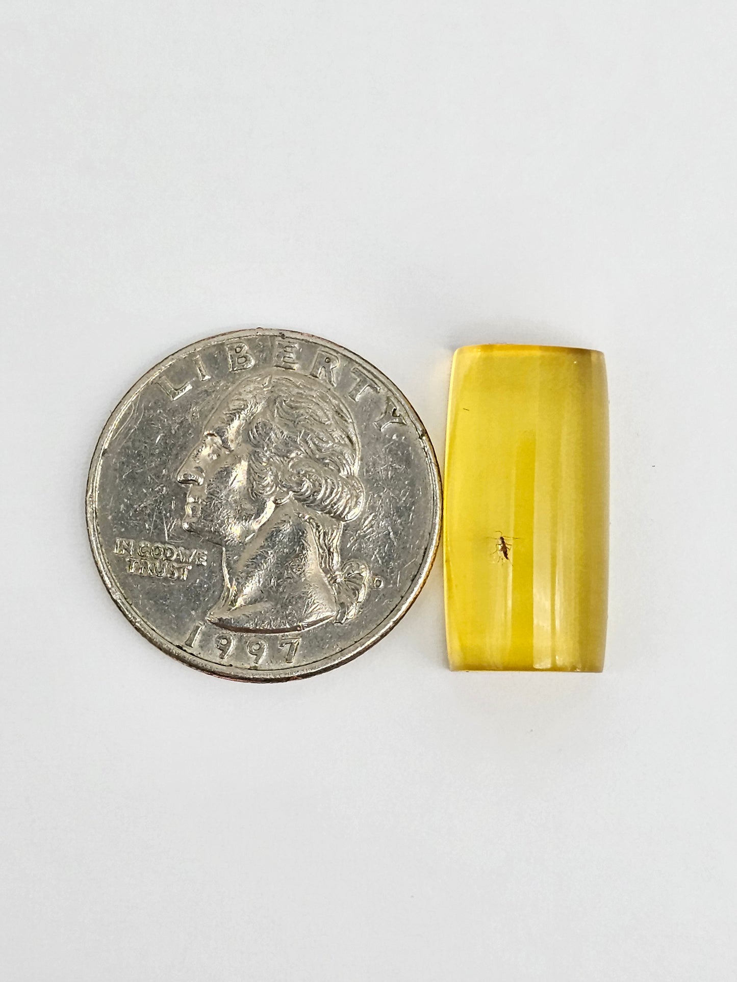 Real amber with insect inclusion