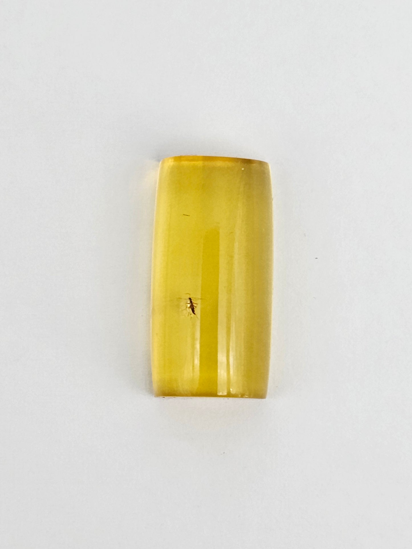 Real amber with insect inclusion