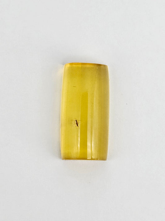 Real amber with insect inclusion