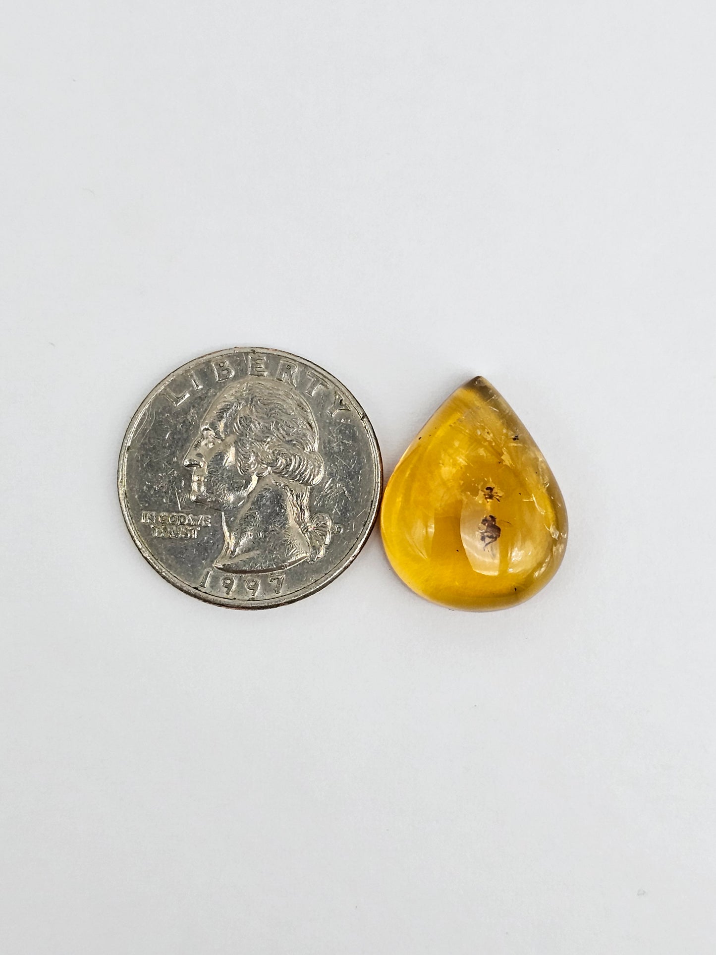 Real amber with insect inclusion