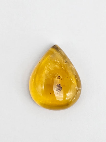 Real amber with insect inclusion