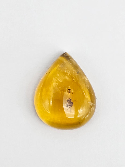 Real amber with insect inclusion