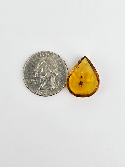 Real amber with insect inclusion