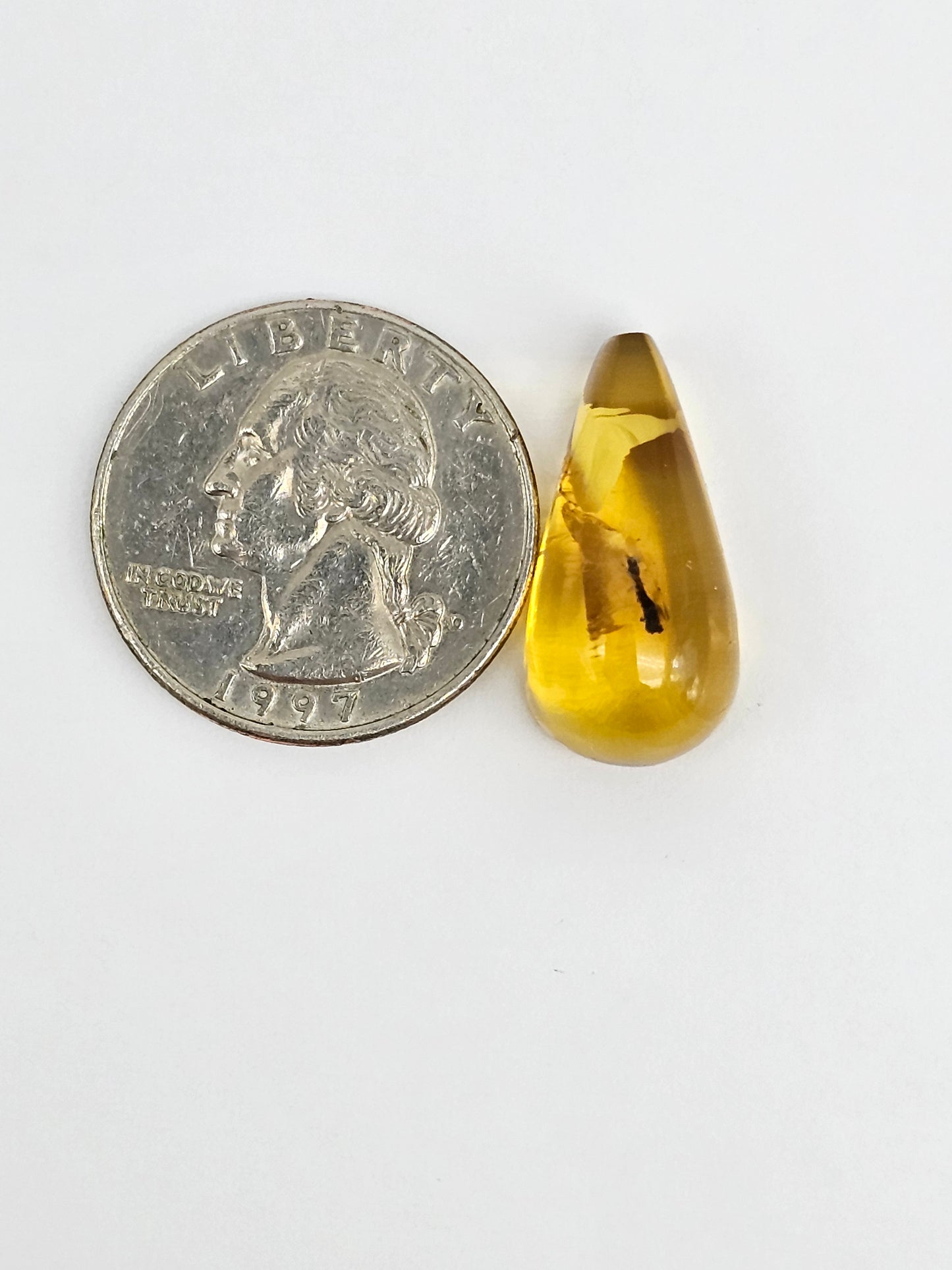 Real amber with insect inclusion