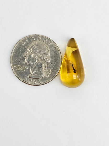 Real amber with insect inclusion
