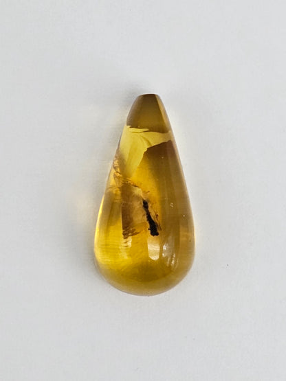 Real amber with insect inclusion