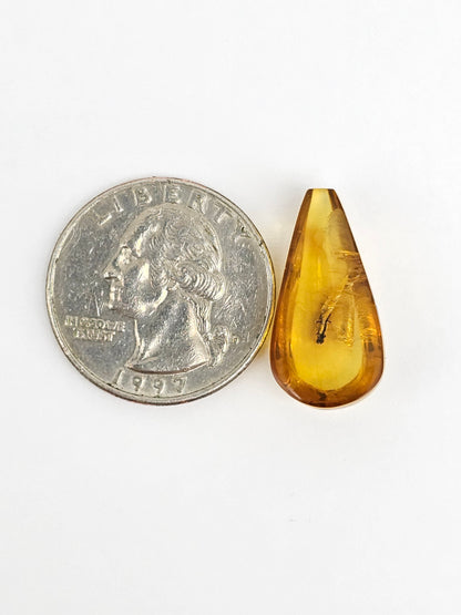 Real amber with insect inclusion