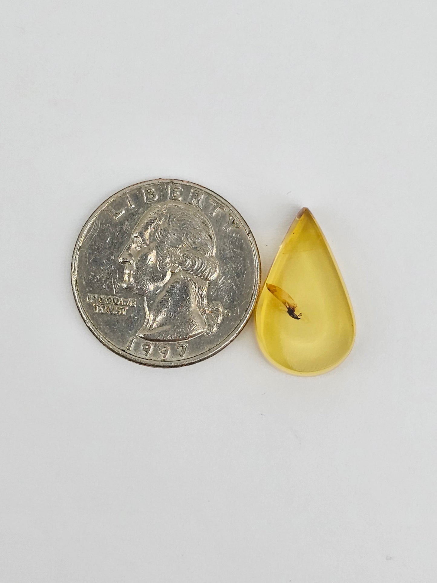 Real amber with insect inclusion