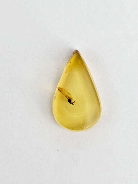 Real amber with insect inclusion