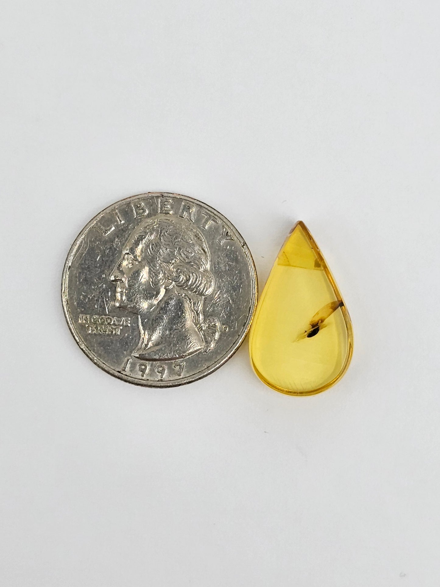 Real amber with insect inclusion