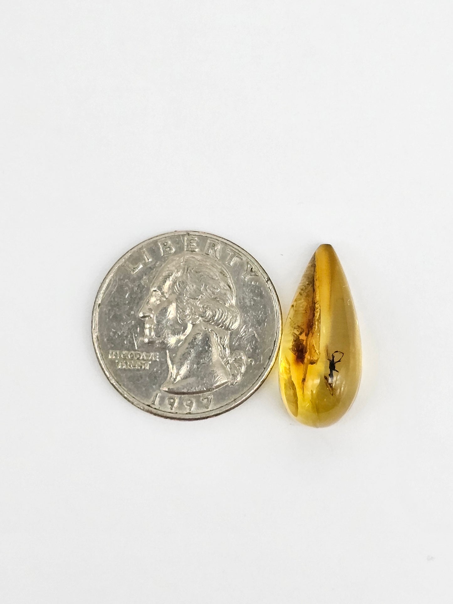 Real amber with insect inclusion
