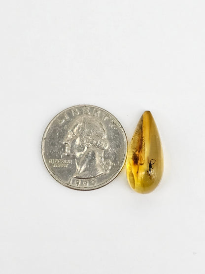 Real amber with insect inclusion