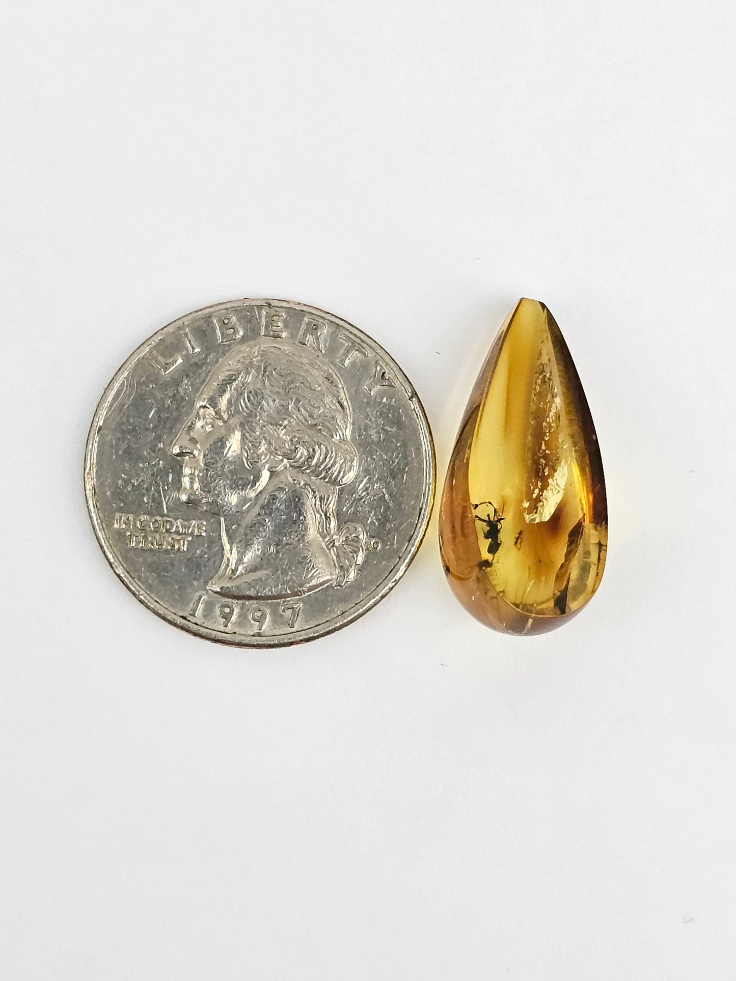 Real amber with insect inclusion