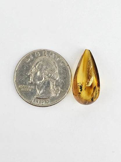 Real amber with insect inclusion