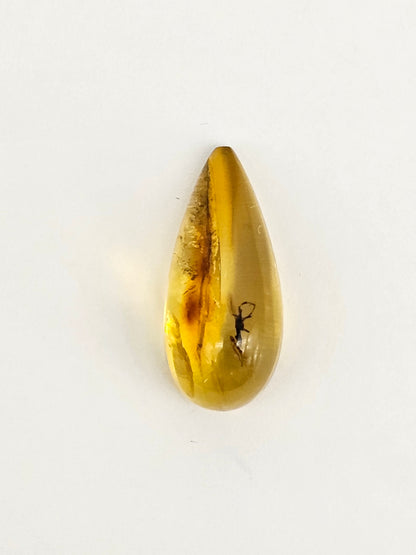 Real amber with insect inclusion