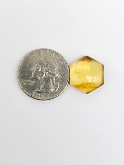 Amber Hexagon Cabochon